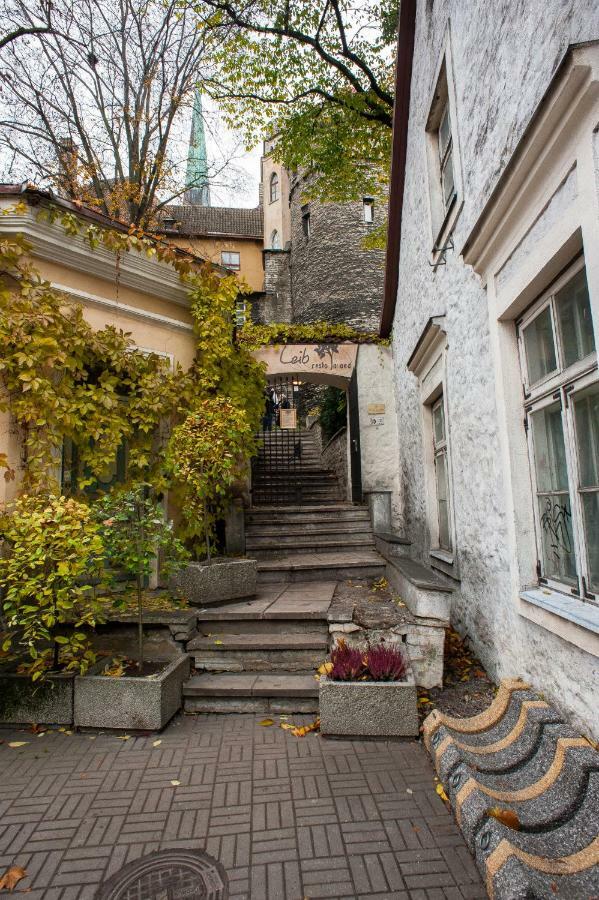 Baltic Accommodation 1 - Rumbi 4-36 Tallinn Bagian luar foto